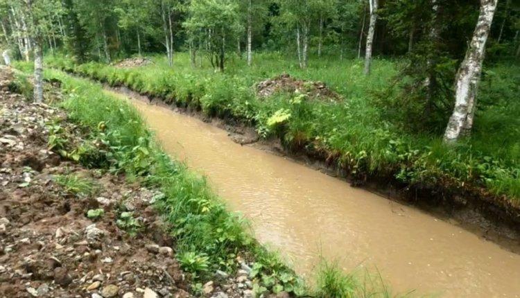 Золотодобытчики отравили горный ручей Картагол в Таштагольском районе Кузбасса 