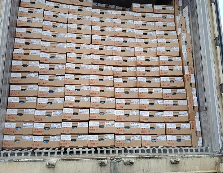 Экспорт алтайской продукции в Китай вырос в 1,5 раза — до 93 тысяч тонн за семь месяцев 2026 года