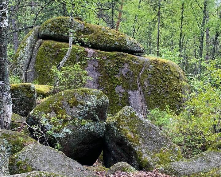 «Красноярские Столбы» уже 100 лет как заповедник