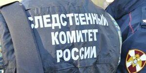 Новосибирцы добились остановки вырубки леса под элитное строительство