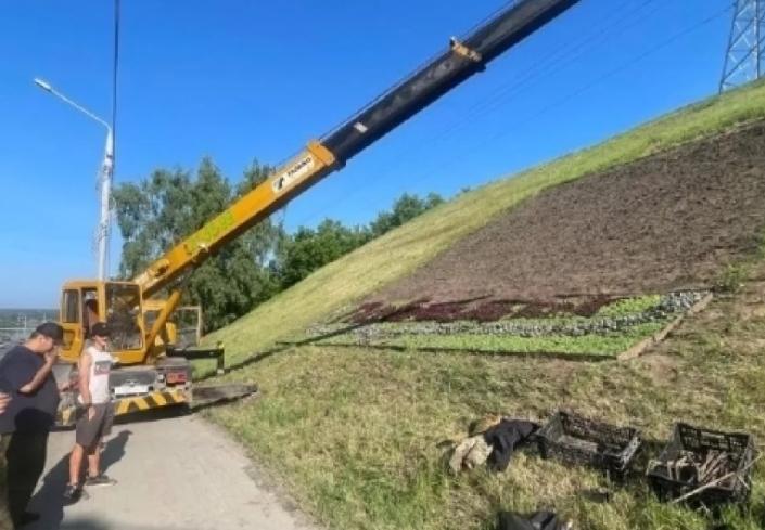 «Живой» герб Томска: сибиряки удивят креативным благоустройством
