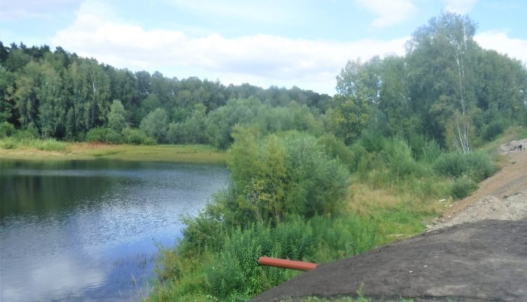 Эксперты Минприроды назвали самые грязные водоемы Новосибирска и области