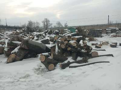 Древесные чурки в Абакане можно получить бесплатно