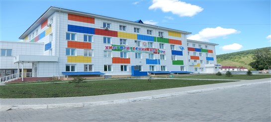 Алтайские врачи спасли почку ребенку, которого лягнула лошадь