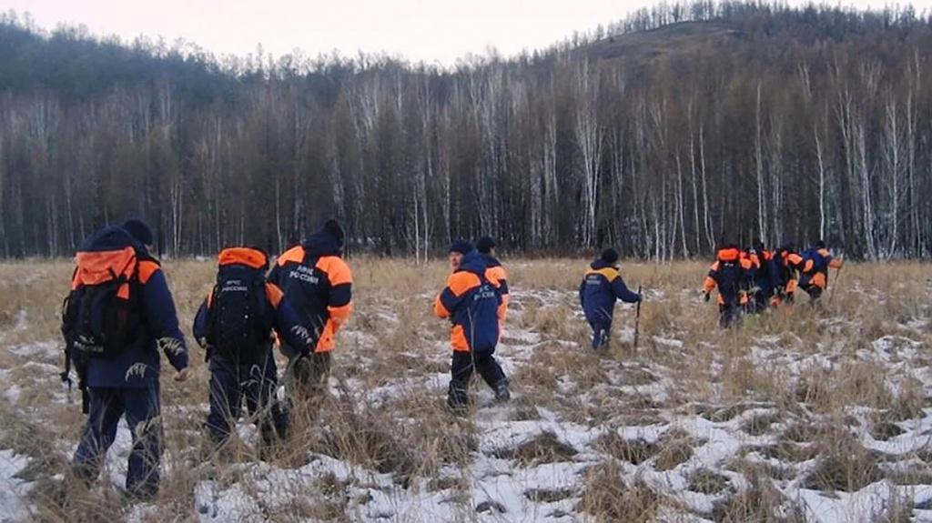 Поисковая группа в лесу
