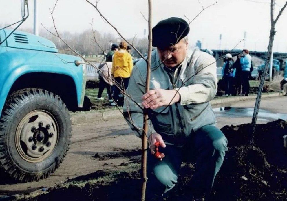 Пииашков сажает деревья.jpg