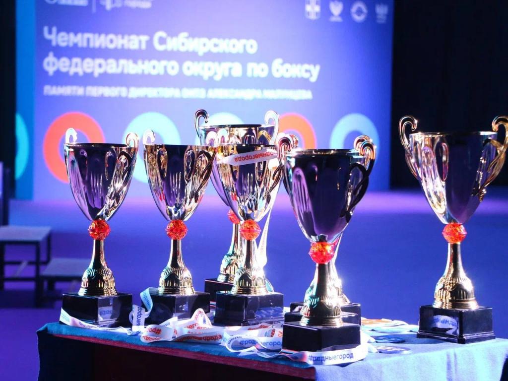 Чемпионат СФО по боксу памяти Малунцева Фото Минспорт 55 кубки.jpg
