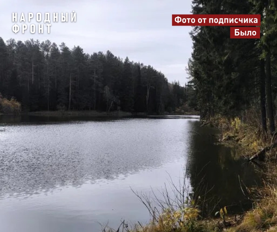Фото: "Народный фронт"