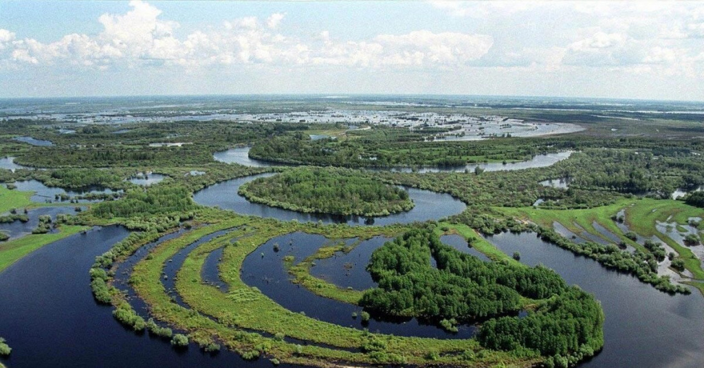 Секреты сибирского сфагнума Болото