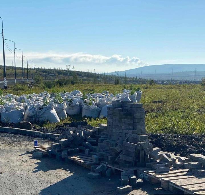 Конопля в Норильске на обустройстве газона стела Город трудовой доблести Фото МООС Мой дом г Норильск.jpg Конопля в Норильске на обустройстве газона стела Город трудовой доблести Фото МООС Мой дом г Норильск.jpg