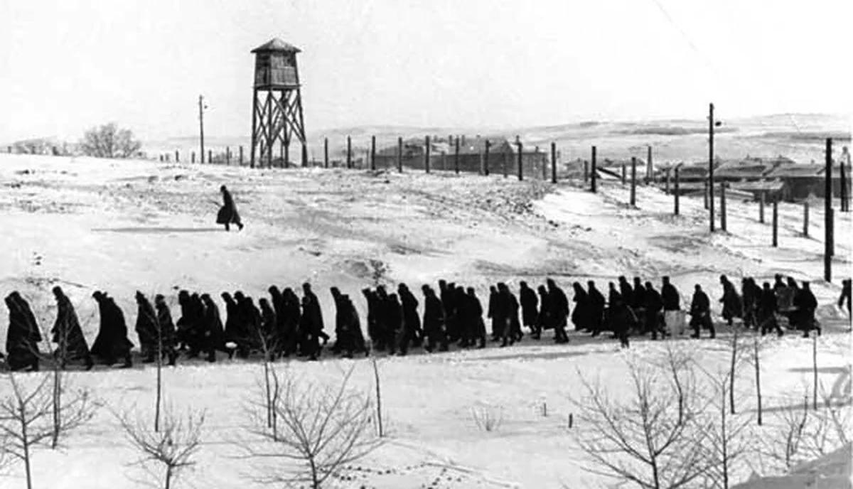  Сибирь- край каторги и ссылок.Почему в большой России Сибирь стала центром "исправления" 