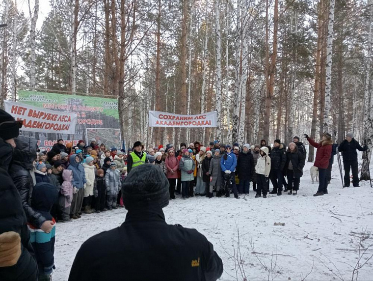 В деле о застройке рощи в Академгородке Иркутска появились новые подробности