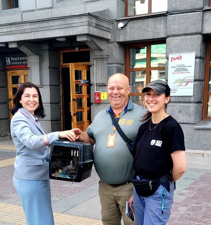 В Новосибирском зоопарке поселились норки, которых забыли встретить на вокзале