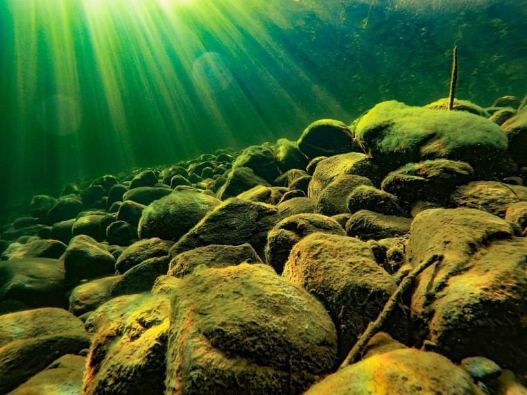 На Телецком озере наступило время весенней прозрачности воды