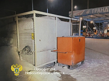 В Новосибирске и Бердске студенты подожгли бензоколонки на автозаправках по указке телефонных мошенников