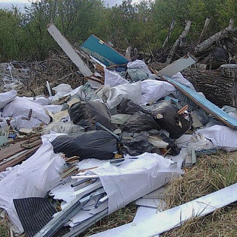 Россельхознадзор выявил под Барнаулом несанкционированную свалку, загрязнившую почву тяжелыми металлами