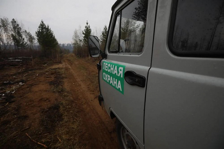 В Иркутской области усилят мониторинг лесов перед пожароопасным сезоном