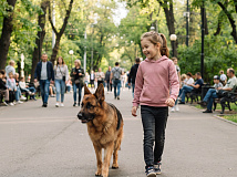 В Иркутской области стартуют рейды по выявлению нарушений содержания животных