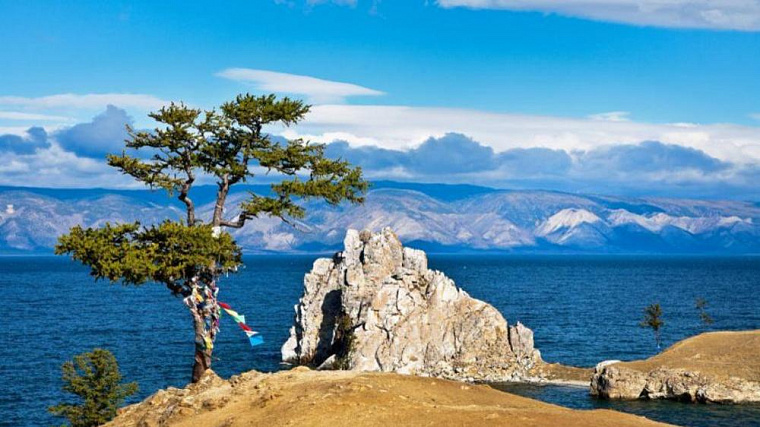 Госдума разрешила сплошные санитарные рубки на Байкальской природной территории