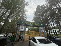 Прокуратура проверяет лагерь «Сокол» в Ачинском округе Красноярского края после массового заболевания детей