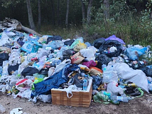 Туристы превратили пляжи Обского моря в Новосибирске в свалку: десятки тонн мусора лежат годами
