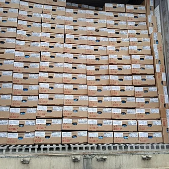 Экспорт алтайской продукции в Китай вырос в 1,5 раза — до 93 тысяч тонн за семь месяцев 2026 года