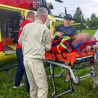 В Иркутской области медведь напал на двух пенсионеров, а в Кузбассе медведица ранила рыбака
