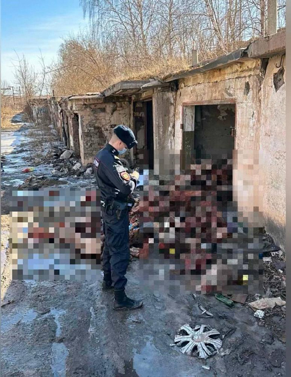 На окраине Красноярска нашли скотомогильник