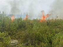 Всего один лесной пожар остался в Красноярском крае