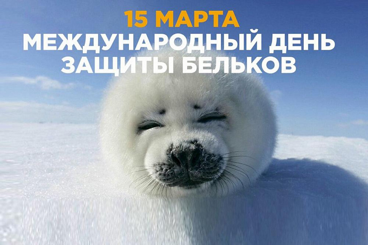 Иркутск отмечает «День защиты бельков»
