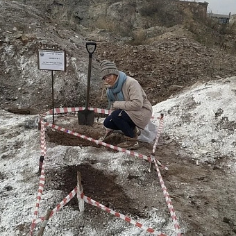 Иркутские учёные восстанавливают загрязнённые земли с помощью отходов Байкальского ЦБК