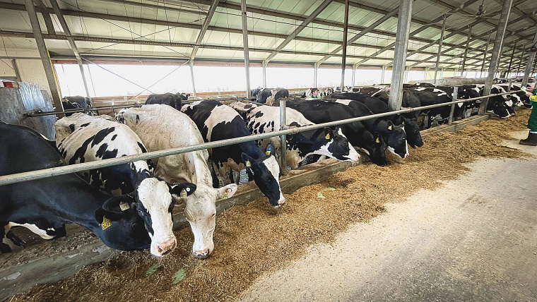 Омская область нарастила в 2026 году экспорт животноводческой продукции в 15 раз