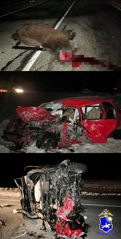 В Тыве в результате ДТП с участием лошади погибло 3 человека, 6 в больнице 