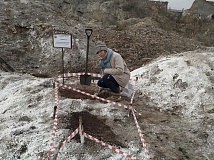 Иркутские учёные восстанавливают загрязнённые земли с помощью отходов Байкальского ЦБК