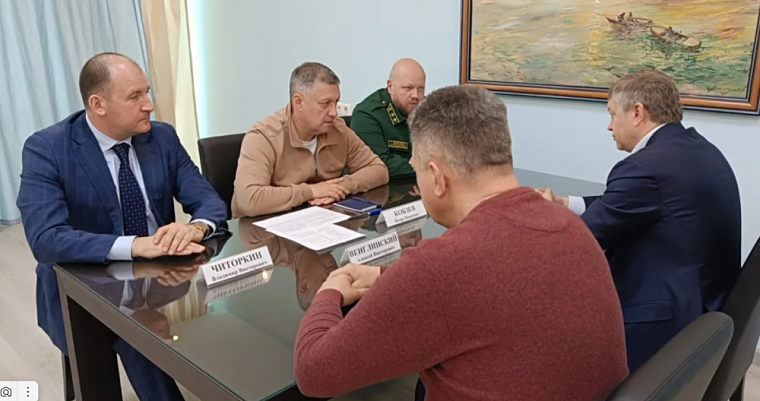Иркутская область станет пилотным регионом по созданию противопожарных разрывов