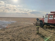 В Алтайском крае ввели режим повышенной готовности из-за жары