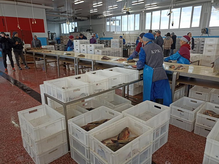 Новосибирская область отправила на экспорт почти 1200 тонн рыбы