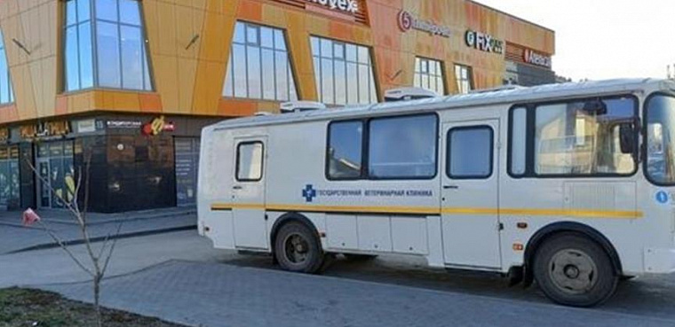 Первая мобильная ветклиника в Сибири появилась в Новосибирске