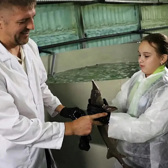 В Калтане Кемеровской области запустили комплекс, где будут выращивать 20 тонн осетра в год
