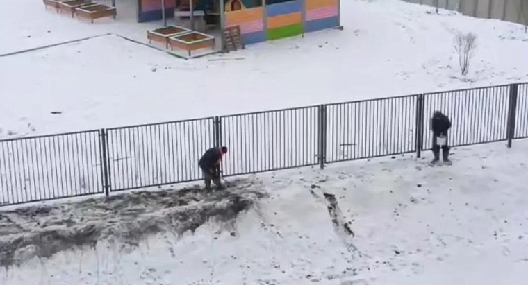 В Барнауле траву сажают прямо в сугробы 
