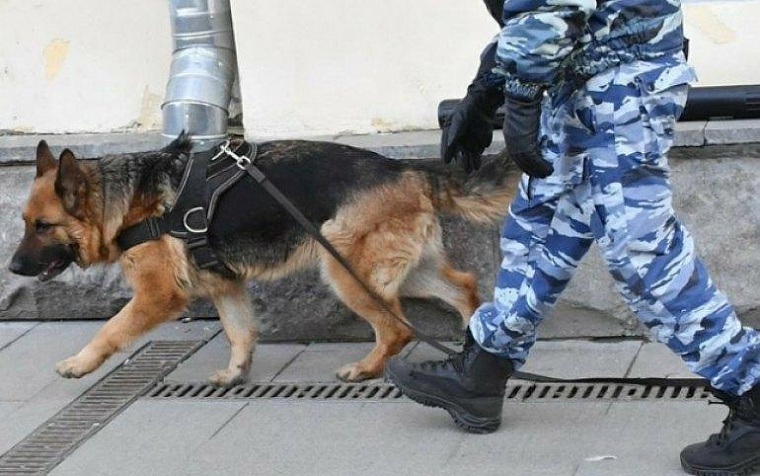Школы Абакана и Черногорска второй день под угрозой минирования