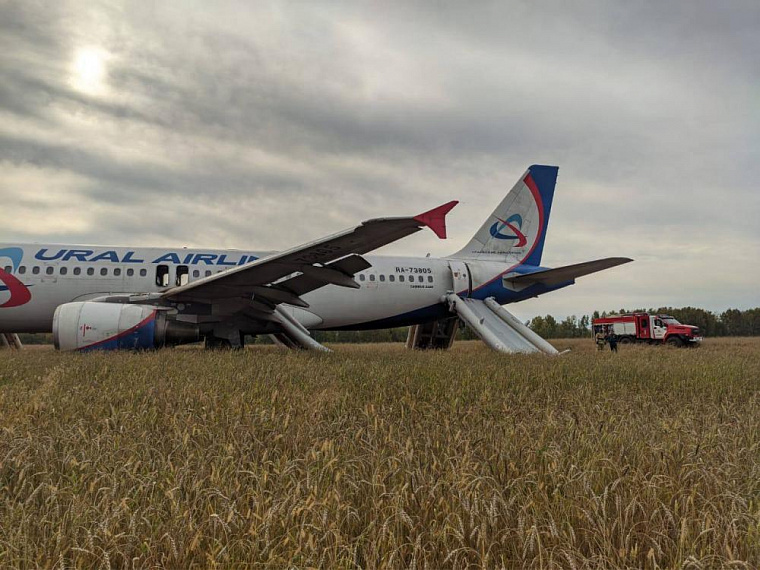 Самолёт с пшеничного поля под Новосибирском будут транспортировать несколько месяцев