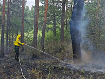 Площадь лесных пожаров в Красноярском крае за сутки уменьшилась на 22,6 тыс. га