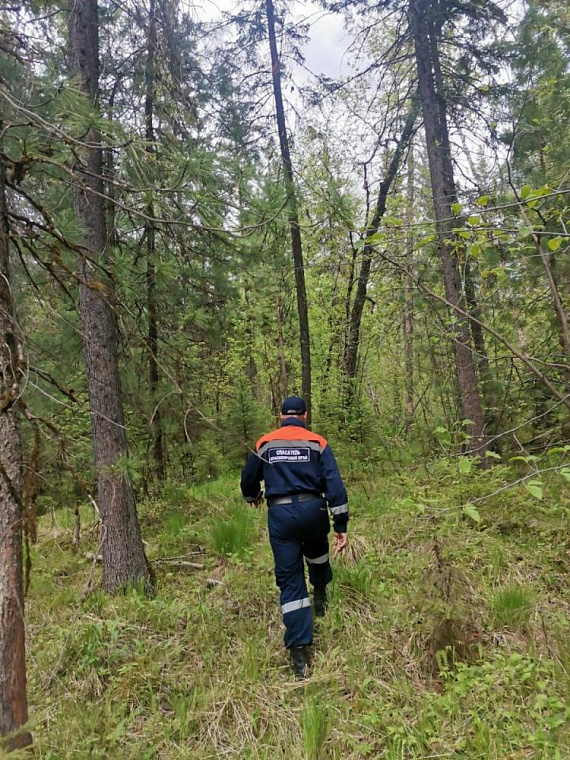 Обновлено: В Партизанском районе Красноярского края с помощью беспилотников ищут семью туристов с 5-летним ребенком