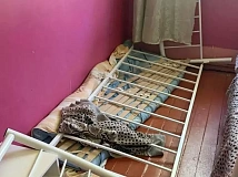 Обновлено: До 14 выросло число пострадавших детей в тувинском лагере «Орлёнок»: нападавший избивал их палкой