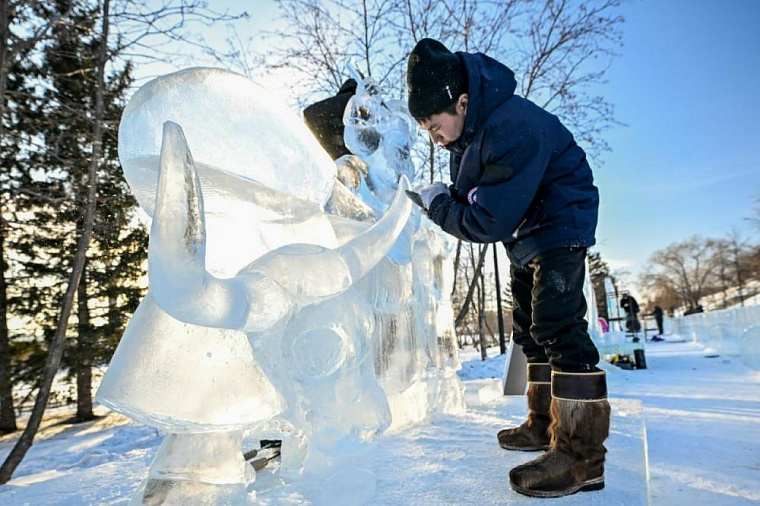 Команда из Тувы победила в молодёжном конкурсе фестиваля «Волшебный лёд Сибири»