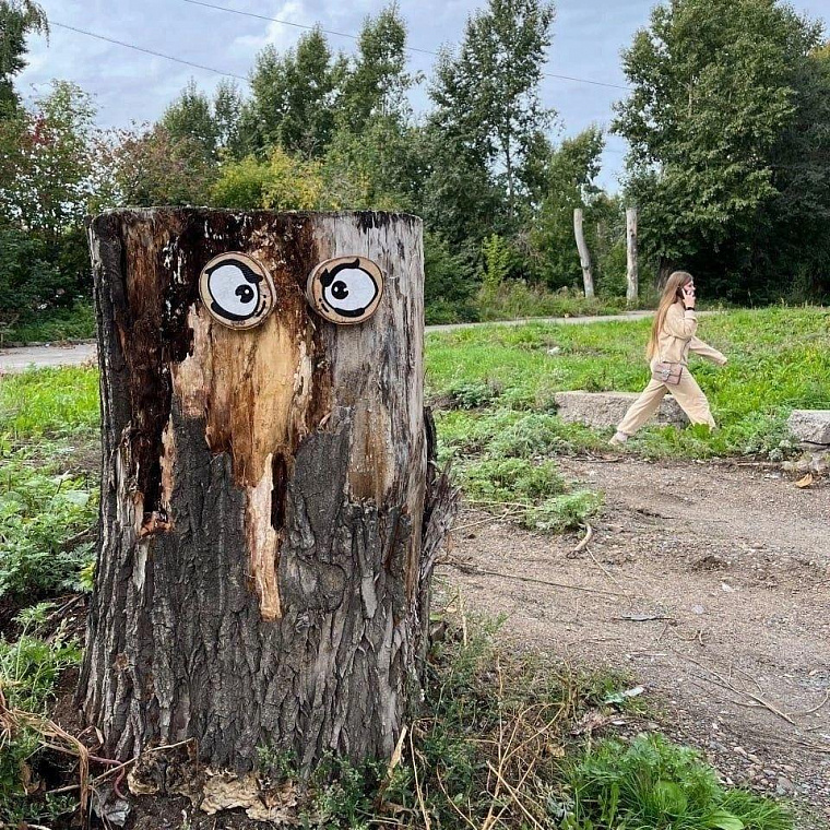 Томские урбанисты превращают деревья в монстров
