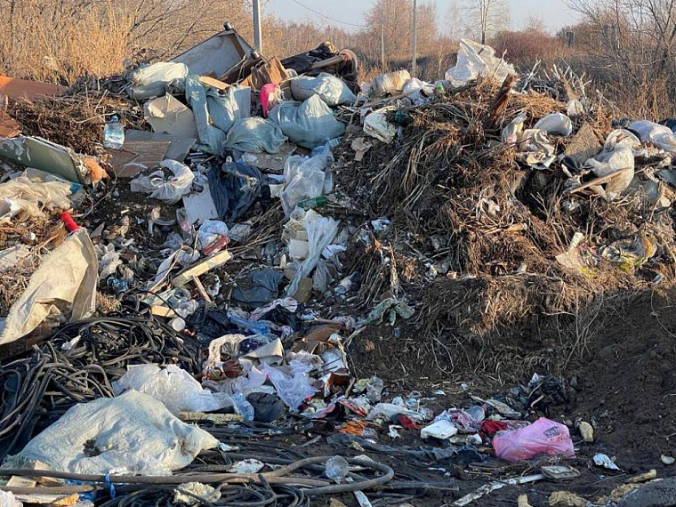 Прокуратура добилась ликвидации опасной свалки около аэропорта Толмачёво в Новосибирске