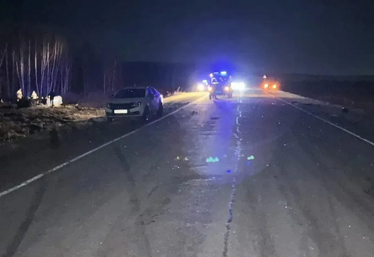 В Шарыповском округе Красноярского края трое подростков погибли в ДТП, врезавшись в лошадь на трассе