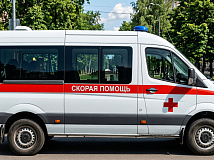 В Новосибирске пациент натравил на медика скорой помощи свою собаку